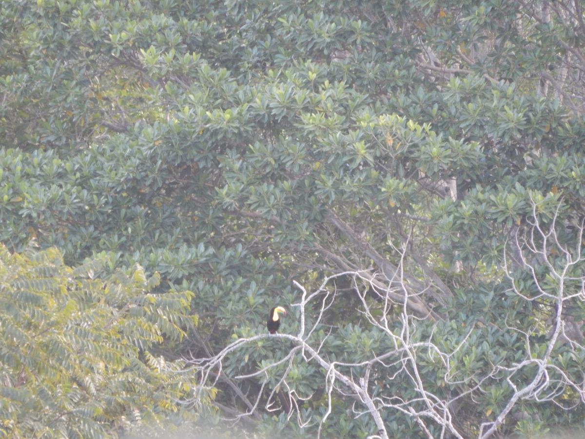 Reserva Atashi La Poza Bagian luar foto