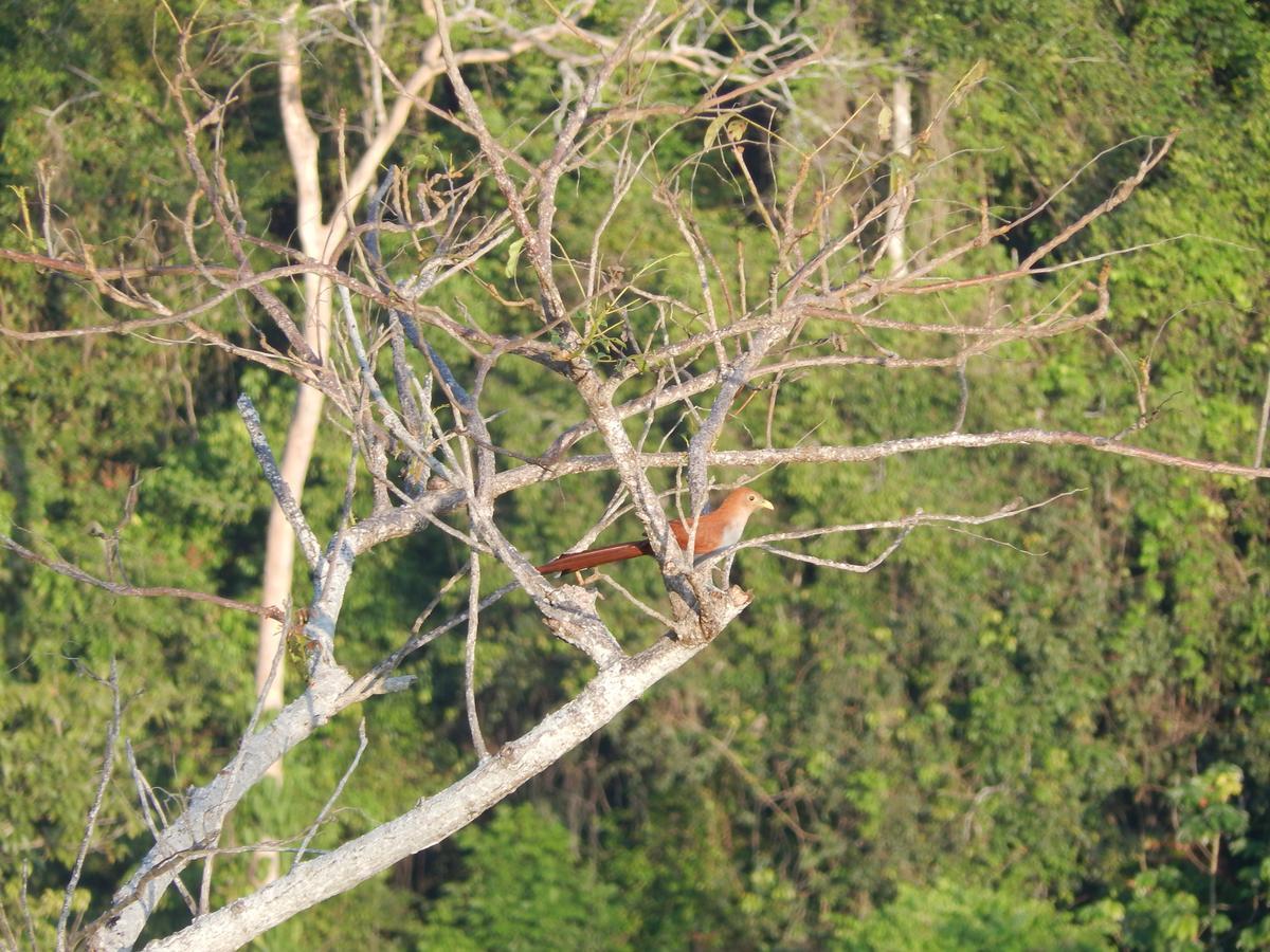 Reserva Atashi La Poza Bagian luar foto